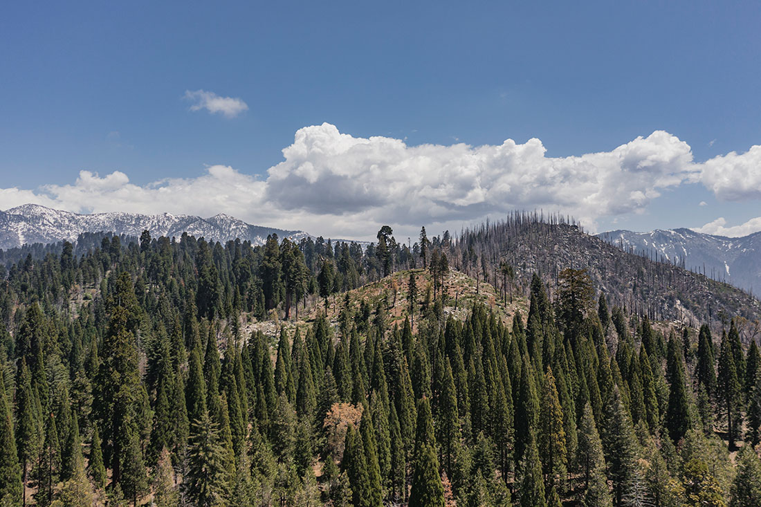 : Snowcapped mountains and green forests surrounding Mountain Home give way to the remnants of the Castle Fire.