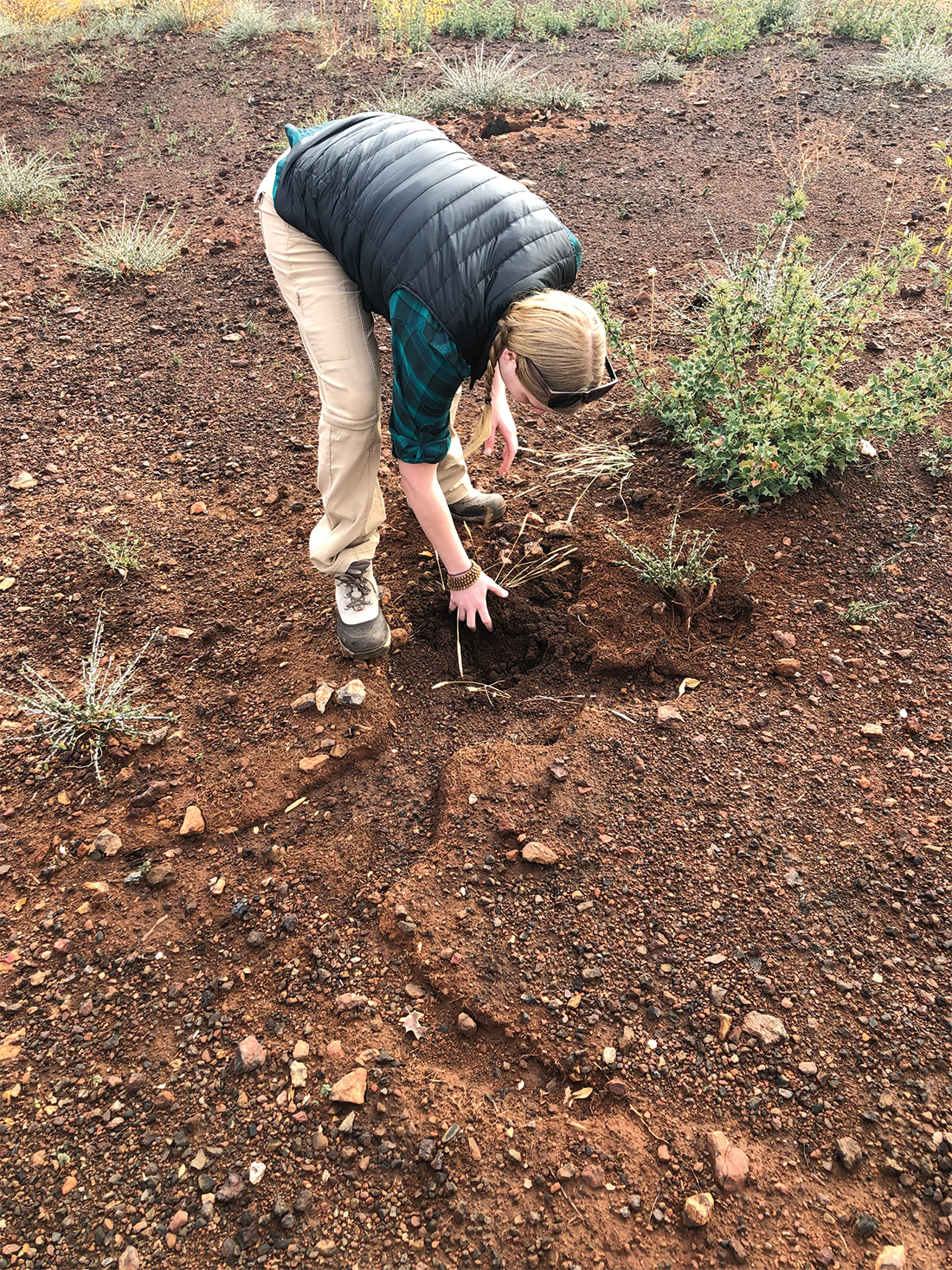 American Forests California State Director Brittany Dyer tests soil quality at a planting site American Forests is reforesting after the Camp Fire.