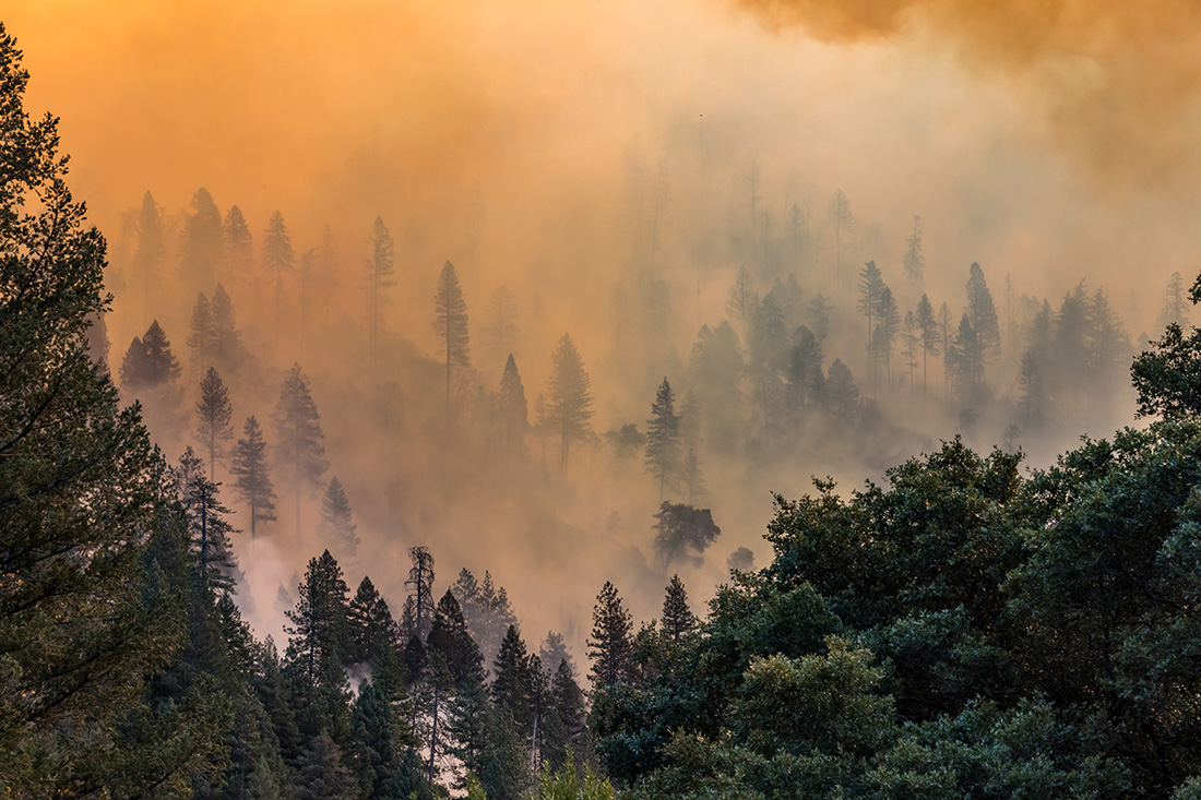 In 2018, the Camp Fire, which was California’s deadliest and most destructive wildfire ever, burned almost 240 square miles — an area the size of Chicago — and killed 85 people.