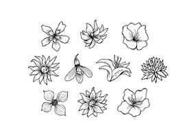 Free Flowers Hand Drawn Vector