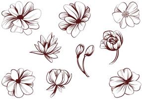 Free Vintage Detailed Flower Vectors