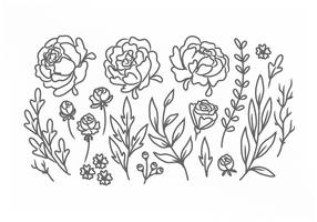 Vector Hand Drawn Flowers