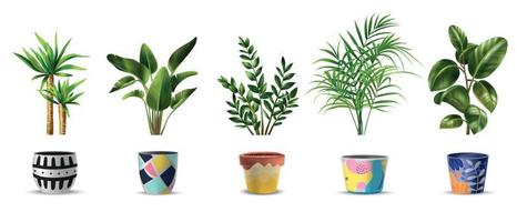 House Plants Set vector