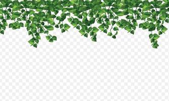 House Realistic Plants vector