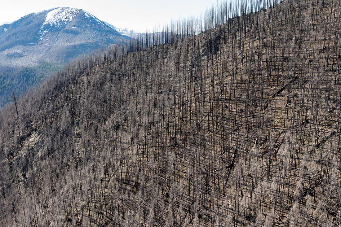 The Labor Day Fires of 2020 were catastrophic, and to many Oregonians, a reminder of the Tillamook Burn. The Sardine Creek area near Gold Hill, pictured here, was especially hard hit in 2020, and will be the location of an American Forests carbon finance project.