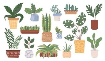 Potted hauseplant set. Collection of succulents, cacti or green foliage plants growing in planters or flower pots. Vector illustration in flat style.