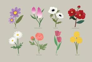 Types of flowers vector